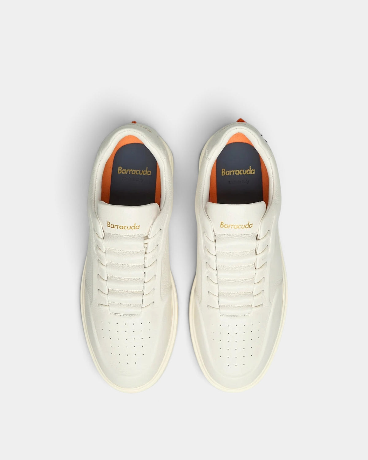 Barracuda - Sneakers Uomo Phoenix Bianco