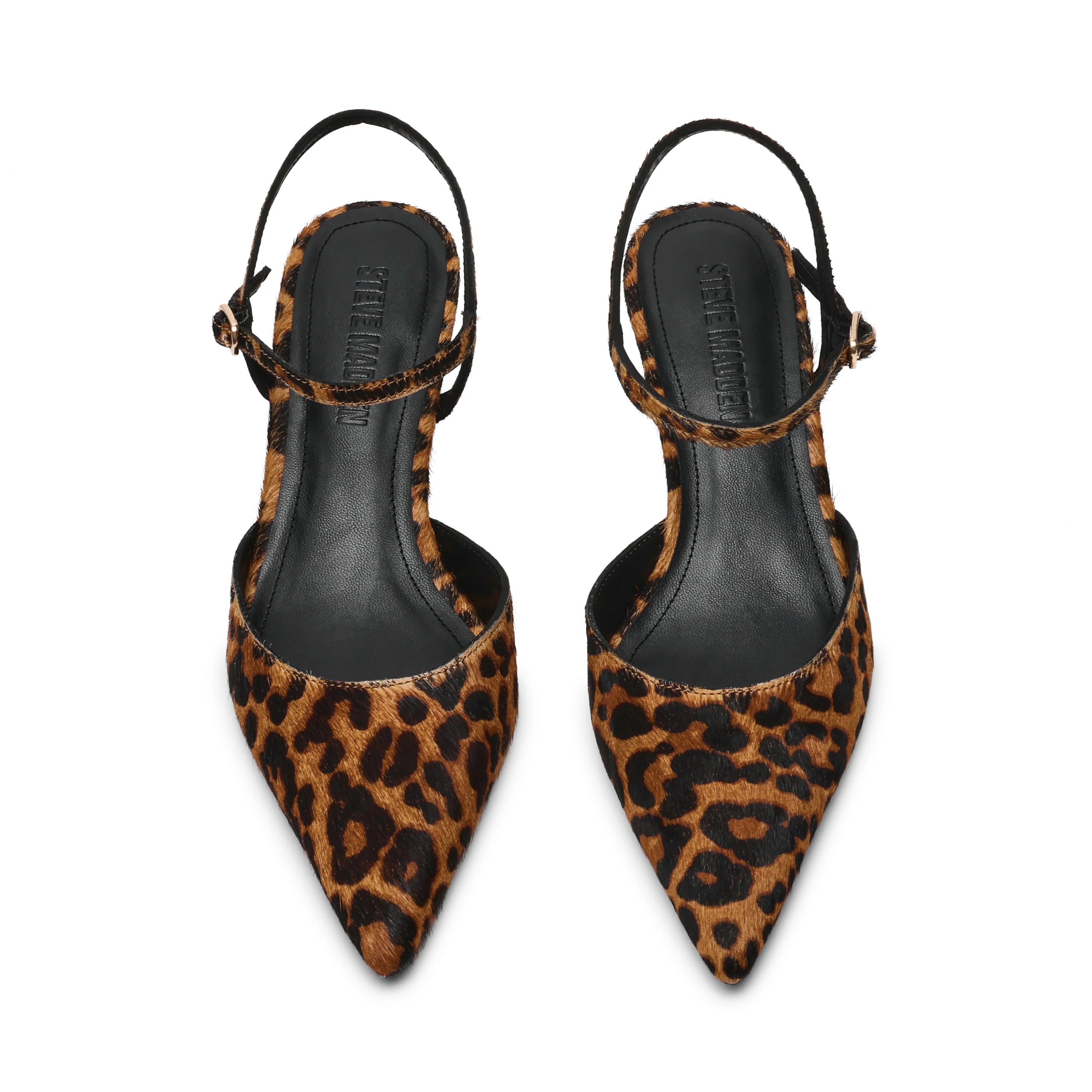 Steve Madden - Adelaide Leopard