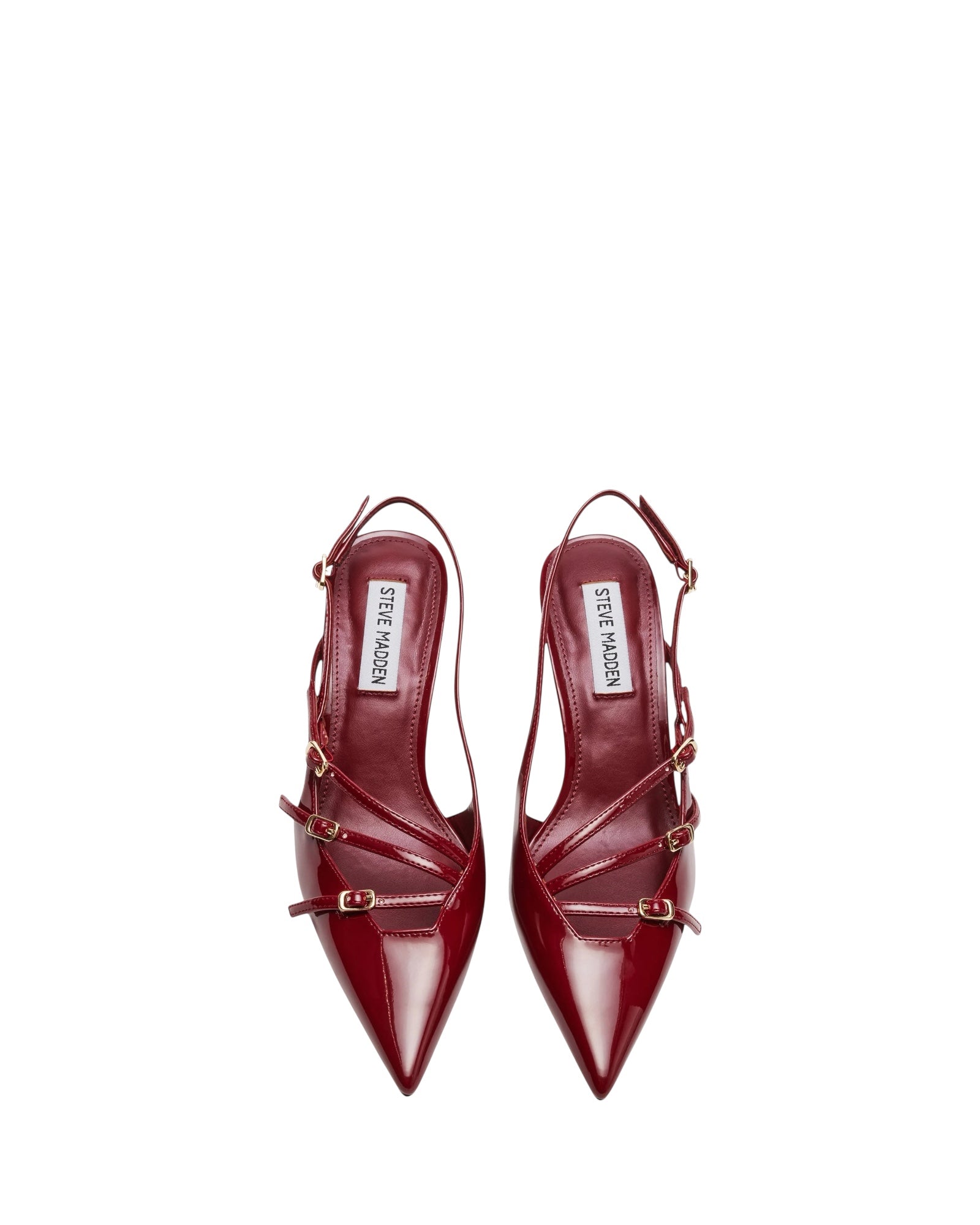 Steve Madden - Liana Wine Lucido