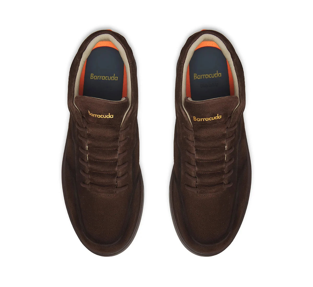 Barracuda - Phoenix Testa di Moro Suede