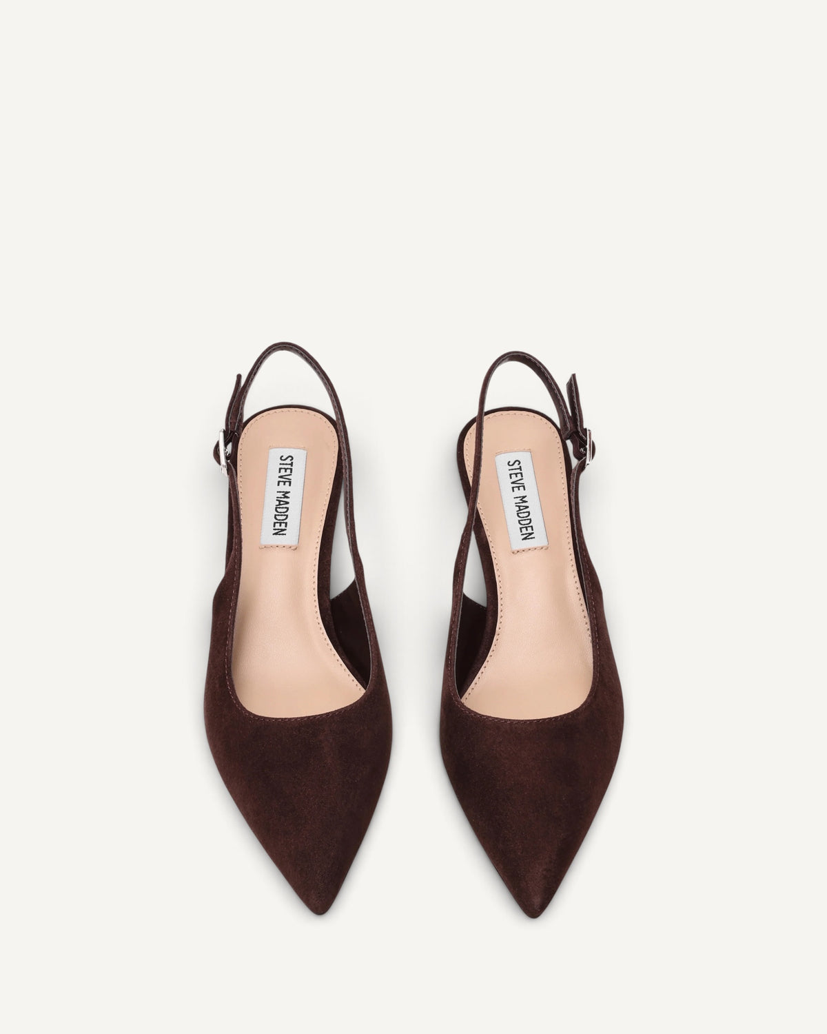 Steve Madden - Décolleté Korra in Suede Cacao