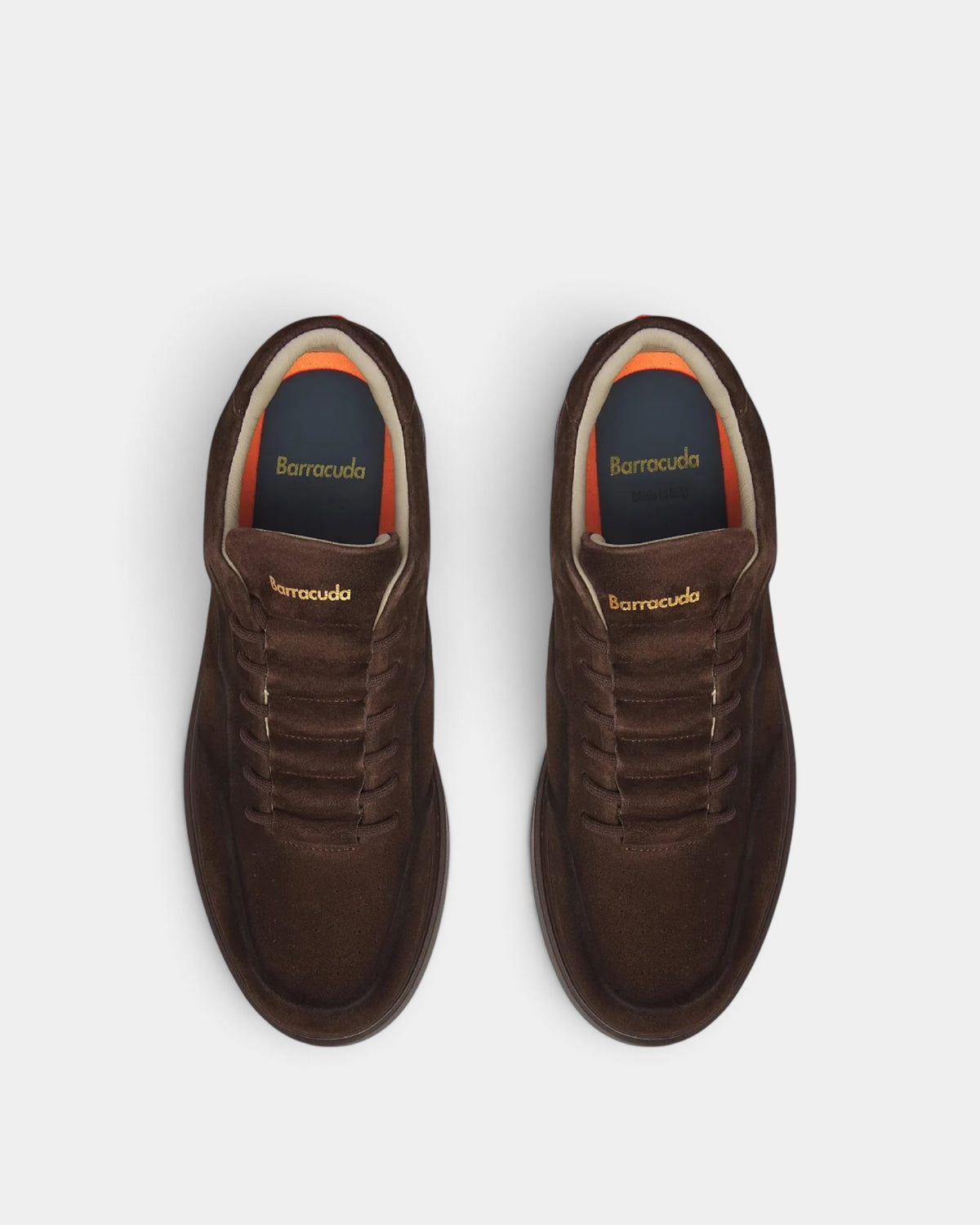 Barracuda - Sneakers Uomo Phoenix Testa di Moro Suede