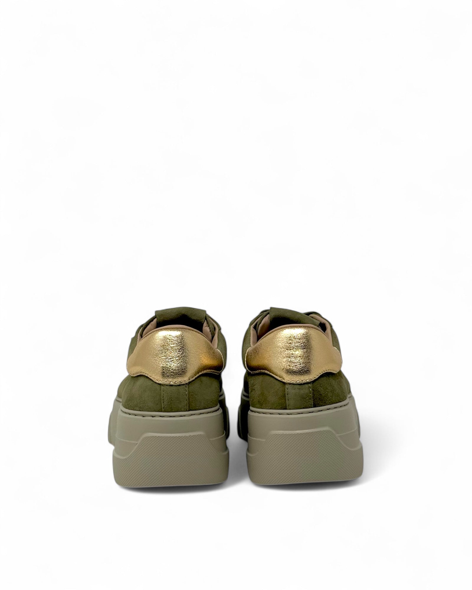 Stokton - 225D Oliva