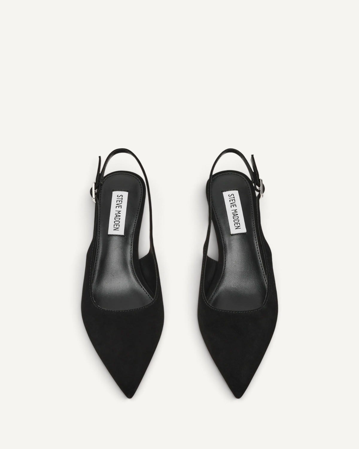 Steve Madden - Décolleté Korra in Suede Nero